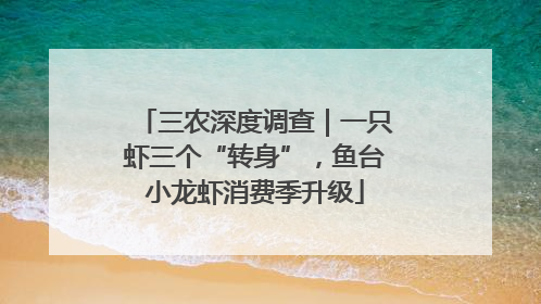 三农深度调查｜一只虾三个“转身”，鱼台小龙虾消费季升级