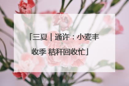 三夏｜通许：小麦丰收季 秸秆回收忙