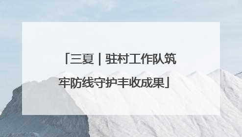 三夏｜驻村工作队筑牢防线守护丰收成果
