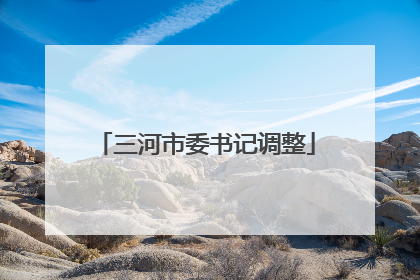 三河市委书记调整