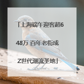 上海端午迎客超648万 百年老街成Z世代潮流圣地