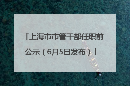 上海市市管干部任职前公示（6月5日发布）