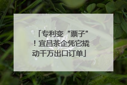 专利变“票子”！宜昌茶企凭它撬动千万出口订单