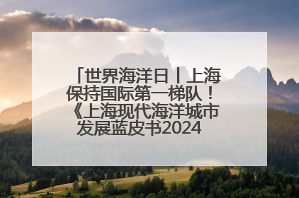 世界海洋日丨上海保持国际第一梯队！《上海现代海洋城市发展蓝皮书2024评估报告》发布