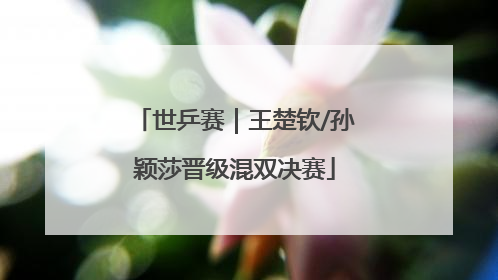 世乒赛｜王楚钦/孙颖莎晋级混双决赛