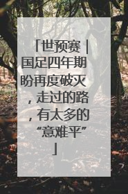 世预赛｜国足四年期盼再度破灭，走过的路，有太多的“意难平”