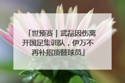 世预赛｜武磊因伤离开国足集训队，伊万不再补招顶替球员