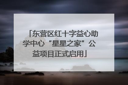 东营区红十字益心助学中心“星星之家”公益项目正式启用
