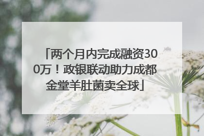 两个月内完成融资300万！政银联动助力成都金堂羊肚菌卖全球