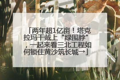 两年超1亿亩！塔克拉玛干戴上“绿围脖”，一起来看三北工程如何锁住黄沙筑长城→