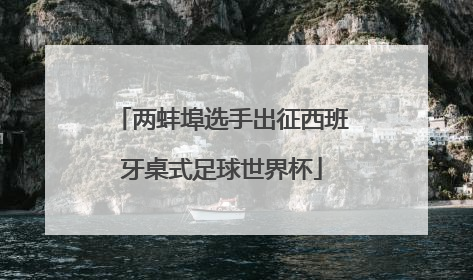 两蚌埠选手出征西班牙桌式足球世界杯