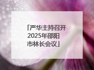 严华主持召开2025年邵阳市林长会议