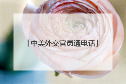 中美外交官员通电话