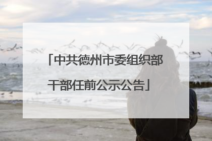 中共德州市委组织部干部任前公示公告