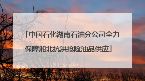 中国石化湖南石油分公司全力保障湘北抗洪抢险油品供应