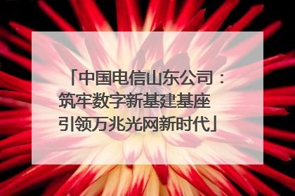 中国电信山东公司：筑牢数字新基建基座 引领万兆光网新时代