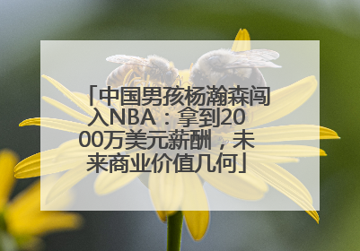 中国男孩杨瀚森闯入NBA：拿到2000万美元薪酬，未来商业价值几何