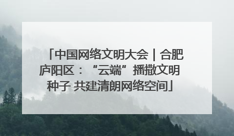 中国网络文明大会｜合肥庐阳区：“云端”播撒文明种子 共建清朗网络空间