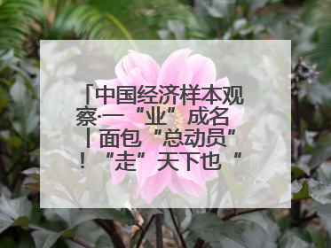 中国经济样本观察·一“业”成名丨面包“总动员”！“走”天下也“香”家乡