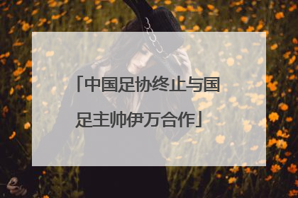 中国足协终止与国足主帅伊万合作