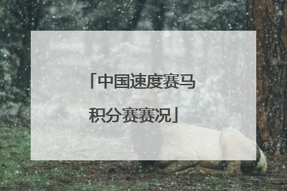 中国速度赛马积分赛赛况