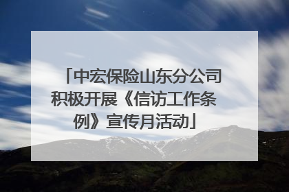 中宏保险山东分公司积极开展《信访工作条例》宣传月活动