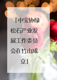 中宝协绿松石产业发展工作委员会在竹山成立