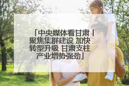 中央媒体看甘肃丨聚焦集群建设 加快转型升级 甘肃支柱产业增势强劲