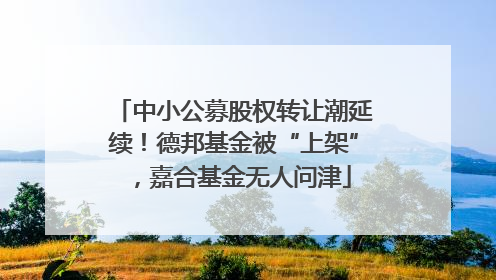 中小公募股权转让潮延续！德邦基金被“上架”，嘉合基金无人问津