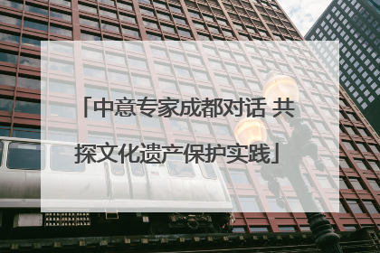 中意专家成都对话 共探文化遗产保护实践