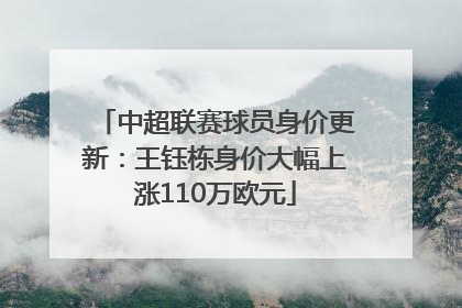 中超联赛球员身价更新：王钰栋身价大幅上涨110万欧元