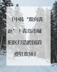中韩“双向奔赴”！青岛市城阳区打造跨国消费狂欢场