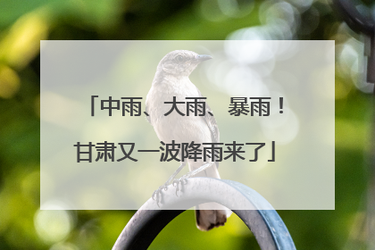 中雨、大雨、暴雨！甘肃又一波降雨来了