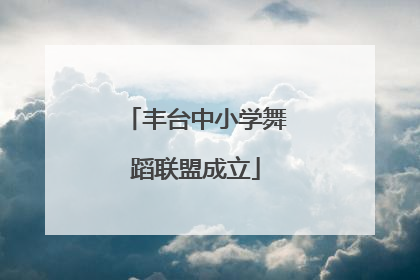 丰台中小学舞蹈联盟成立