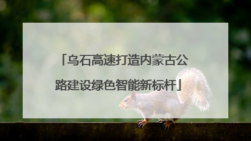 乌石高速打造内蒙古公路建设绿色智能新标杆