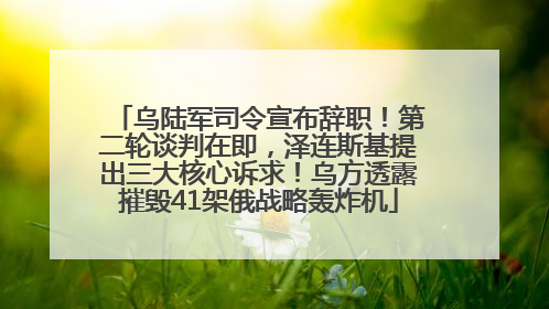 乌陆军司令宣布辞职！第二轮谈判在即，泽连斯基提出三大核心诉求！乌方透露摧毁41架俄战略轰炸机