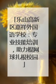 乐山高新区嘉祥外国语学校：专业技能培训，助力棍网球扎根校园