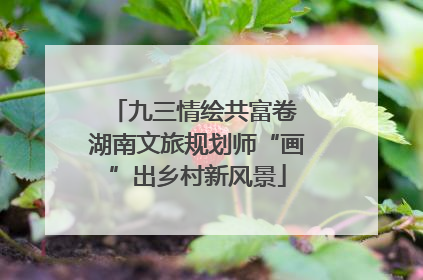 九三情绘共富卷 湖南文旅规划师“画”出乡村新风景