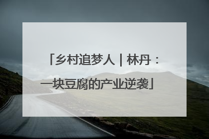 乡村追梦人｜林丹：一块豆腐的产业逆袭