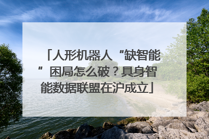 人形机器人“缺智能”困局怎么破？具身智能数据联盟在沪成立