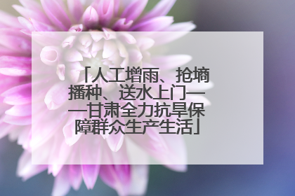 人工增雨、抢墒播种、送水上门——甘肃全力抗旱保障群众生产生活