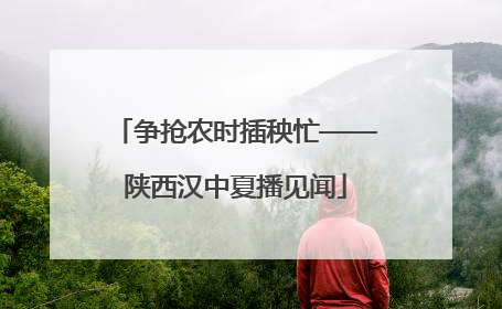 争抢农时插秧忙——陕西汉中夏播见闻