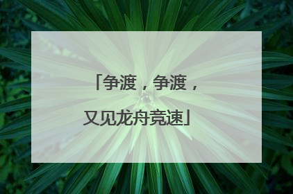 争渡，争渡，又见龙舟竞速