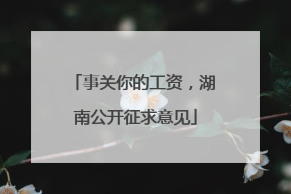 事关你的工资，湖南公开征求意见
