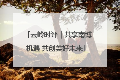 云岭时评｜共享南博机遇 共创美好未来