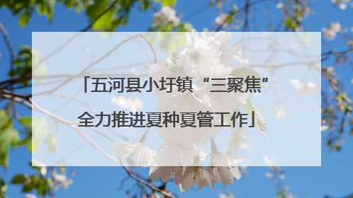 五河县小圩镇“三聚焦”全力推进夏种夏管工作