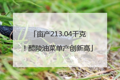 亩产213.04千克！醴陵油菜单产创新高