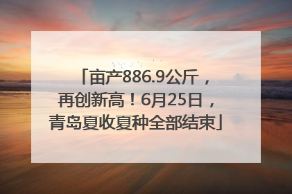 亩产886.9公斤，再创新高！6月25日，青岛夏收夏种全部结束