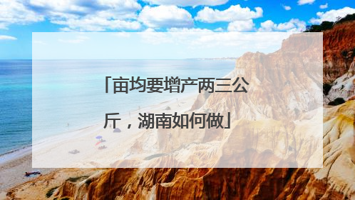 亩均要增产两三公斤，湖南如何做