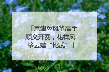 京津冀风筝高手顺义开赛，花样风筝云端“比武”